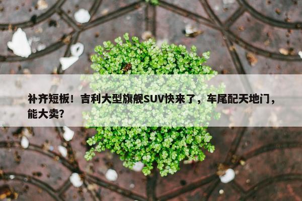 补齐短板！吉利大型旗舰SUV快来了，车尾配天地门，能大卖？