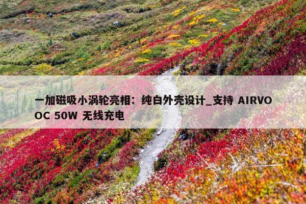 一加磁吸小涡轮亮相：纯白外壳设计_支持 AIRVOOC 50W 无线充电