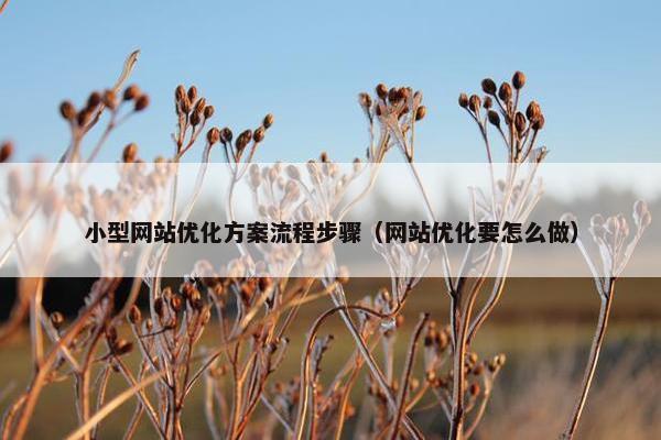 小型网站优化方案流程步骤（网站优化要怎么做）