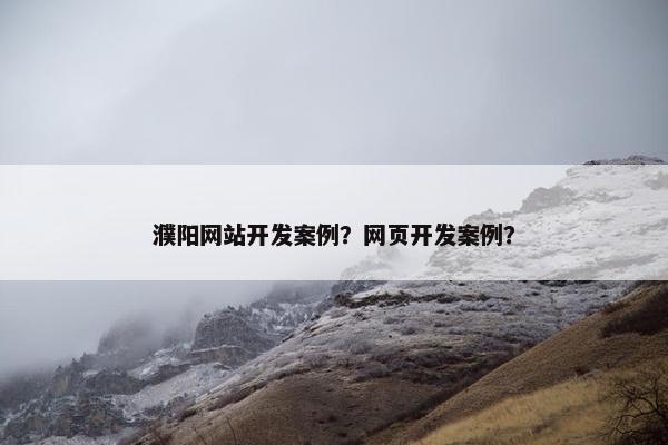 濮阳网站开发案例？网页开发案例？