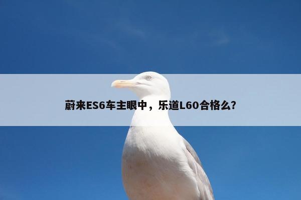 蔚来ES6车主眼中，乐道L60合格么？