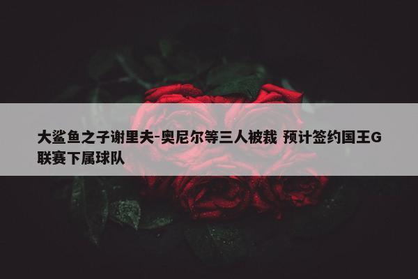 大鲨鱼之子谢里夫-奥尼尔等三人被裁 预计签约国王G联赛下属球队