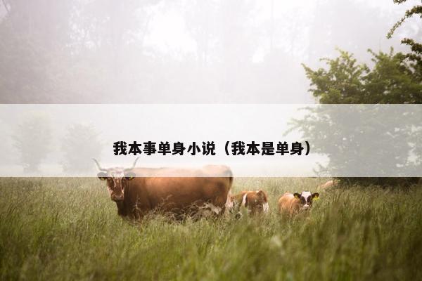 我本事单身小说（我本是单身）