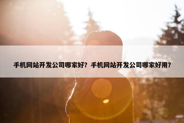 手机网站开发公司哪家好？手机网站开发公司哪家好用？