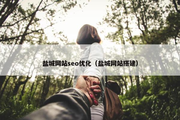 盐城网站seo优化（盐城网站搭建）