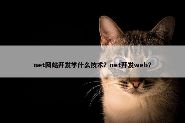 net网站开发学什么技术？net开发web？