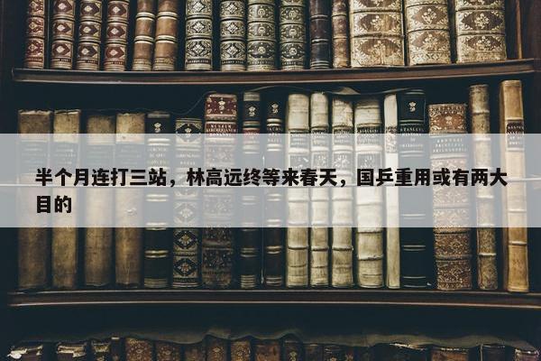 半个月连打三站，林高远终等来春天，国乒重用或有两大目的