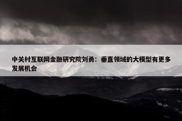 中关村互联网金融研究院刘勇：垂直领域的大模型有更多发展机会