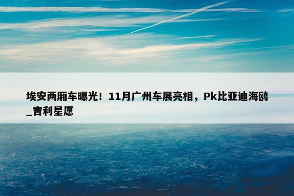 埃安两厢车曝光！11月广州车展亮相，Pk比亚迪海鸥_吉利星愿