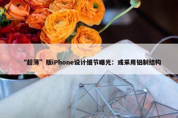 “超薄”版iPhone设计细节曝光：或采用铝制结构