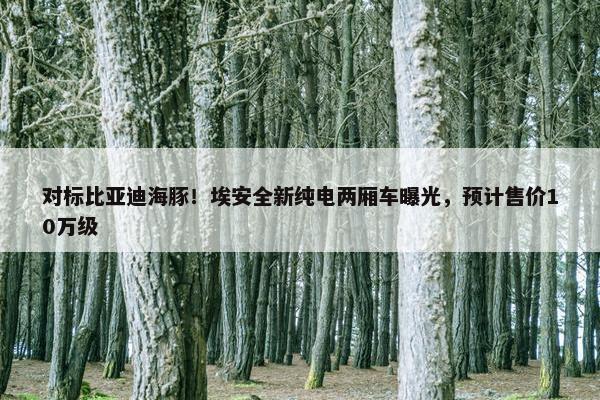 对标比亚迪海豚！埃安全新纯电两厢车曝光，预计售价10万级