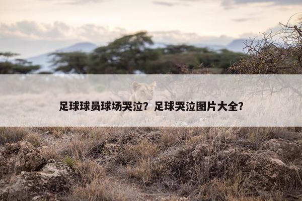 足球球员球场哭泣？足球哭泣图片大全？