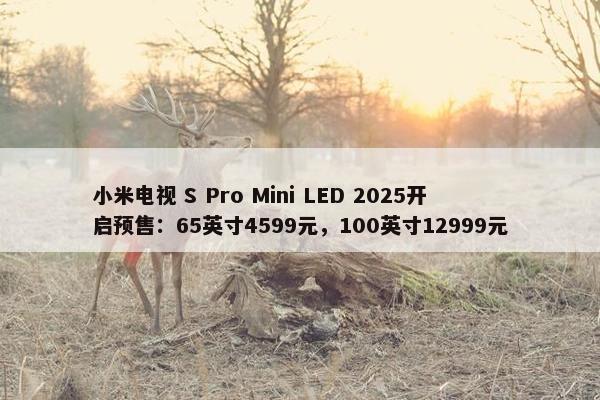 小米电视 S Pro Mini LED 2025开启预售：65英寸4599元，100英寸12999元