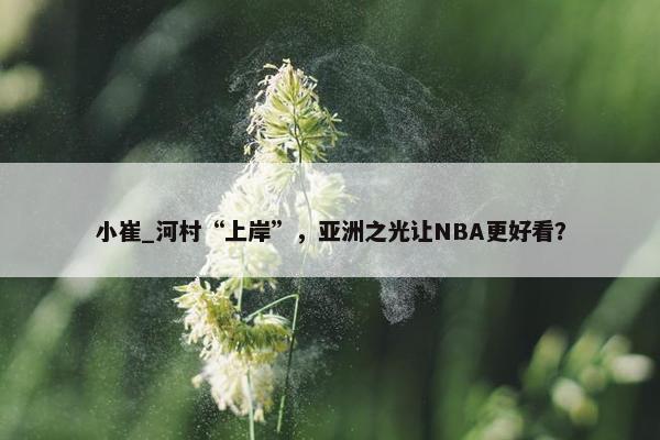 小崔_河村“上岸”，亚洲之光让NBA更好看？