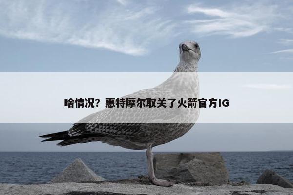 啥情况？惠特摩尔取关了火箭官方IG