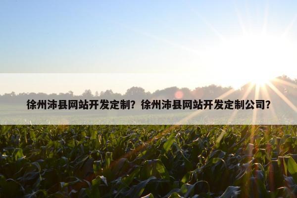 徐州沛县网站开发定制？徐州沛县网站开发定制公司？