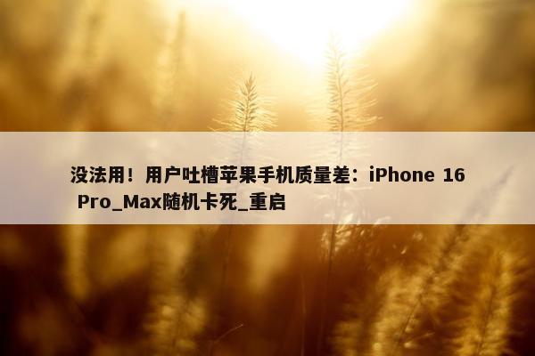 没法用！用户吐槽苹果手机质量差：iPhone 16 Pro_Max随机卡死_重启