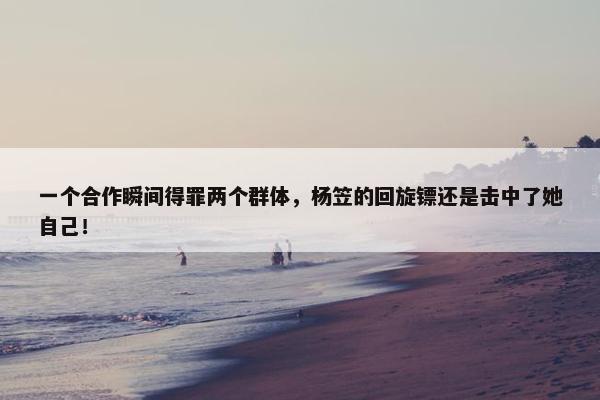 一个合作瞬间得罪两个群体，杨笠的回旋镖还是击中了她自己！