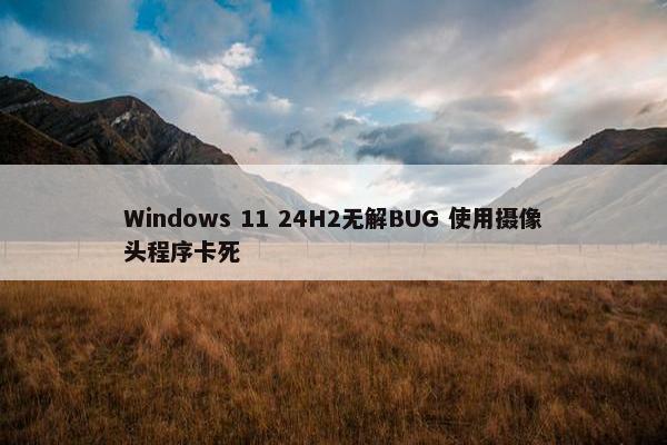 Windows 11 24H2无解BUG 使用摄像头程序卡死