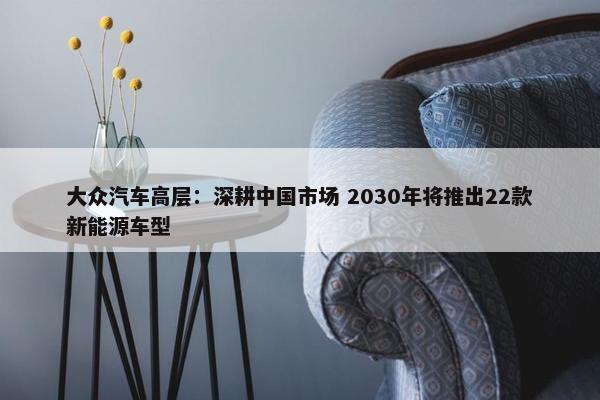 大众汽车高层：深耕中国市场 2030年将推出22款新能源车型