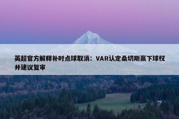 英超官方解释补时点球取消：VAR认定桑切斯赢下球权并建议复审