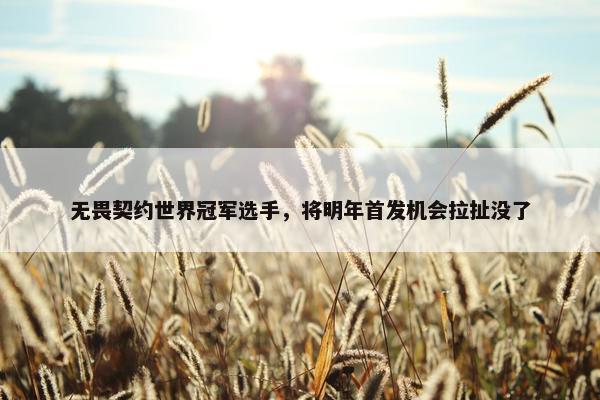 无畏契约世界冠军选手，将明年首发机会拉扯没了