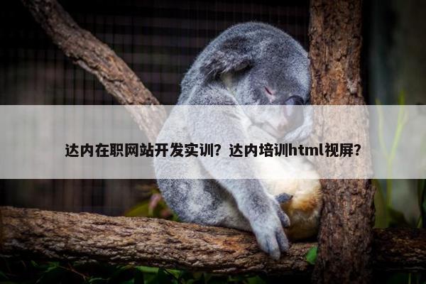 达内在职网站开发实训？达内培训html视屏？