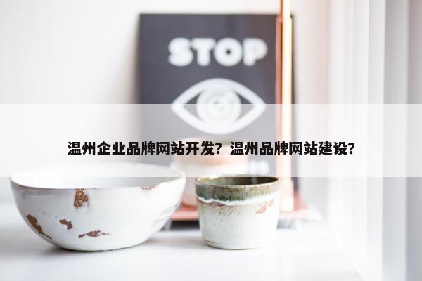 温州企业品牌网站开发？温州品牌网站建设？