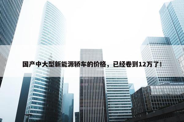 国产中大型新能源轿车的价格，已经卷到12万了！