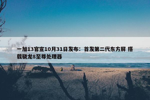 一加13官宣10月31日发布：首发第二代东方屏 搭载骁龙8至尊处理器