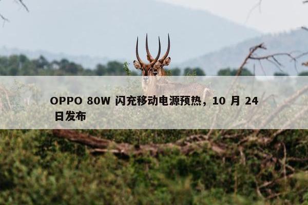 OPPO 80W 闪充移动电源预热，10 月 24 日发布