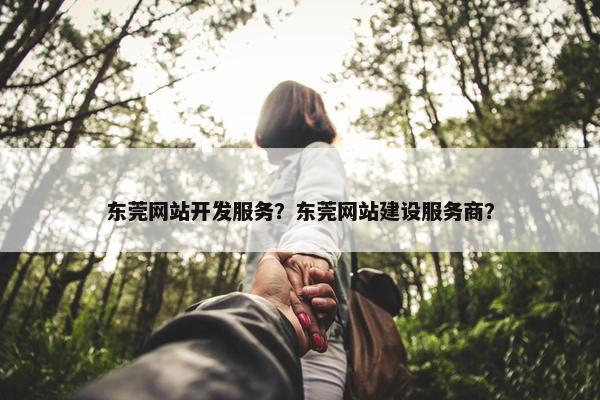 东莞网站开发服务？东莞网站建设服务商？