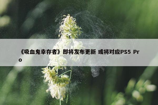 《吸血鬼幸存者》即将发布更新 或将对应PS5 Pro