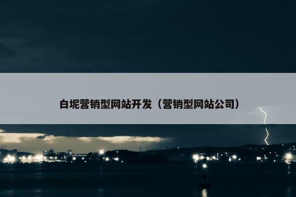 白坭营销型网站开发（营销型网站公司）