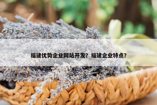 福建优势企业网站开发？福建企业特点？