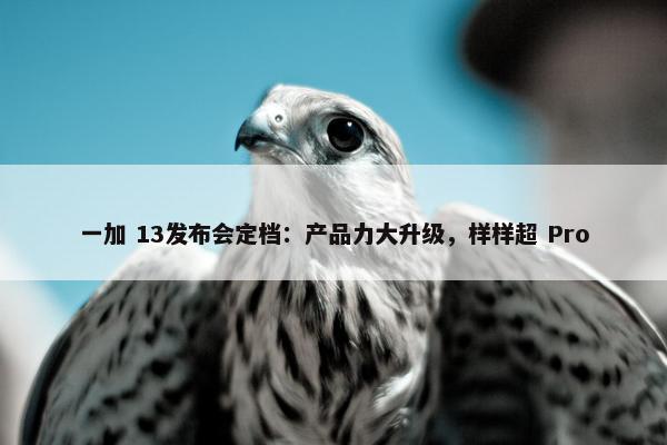 一加 13发布会定档：产品力大升级，样样超 Pro