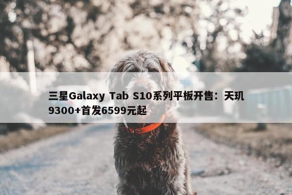 三星Galaxy Tab S10系列平板开售：天玑9300+首发6599元起