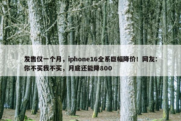 发售仅一个月，iphone16全系巨幅降价！网友：你不买我不买，月底还能降800