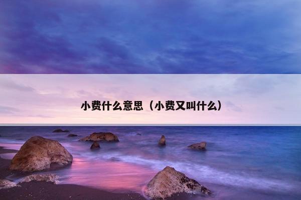 小费什么意思（小费又叫什么）