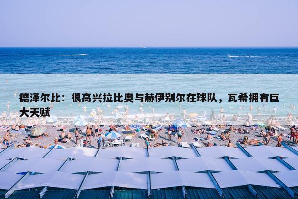 德泽尔比：很高兴拉比奥与赫伊别尔在球队，瓦希拥有巨大天赋