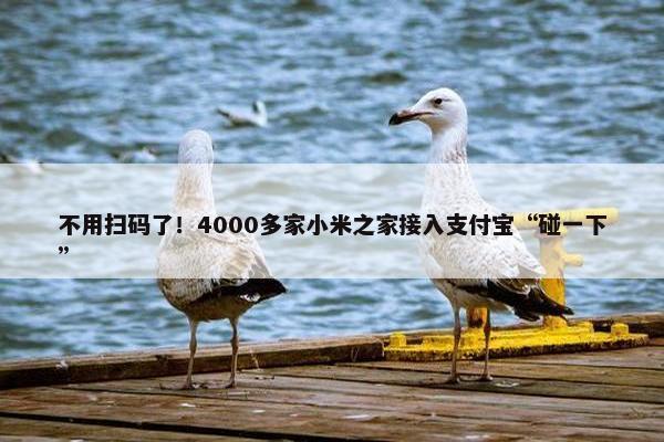 不用扫码了！4000多家小米之家接入支付宝“碰一下”