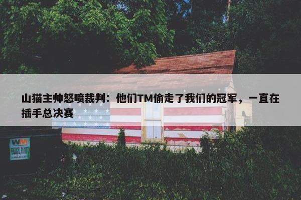 山猫主帅怒喷裁判：他们TM偷走了我们的冠军，一直在插手总决赛