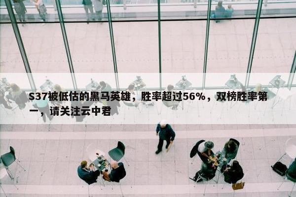 S37被低估的黑马英雄，胜率超过56%，双榜胜率第一，请关注云中君