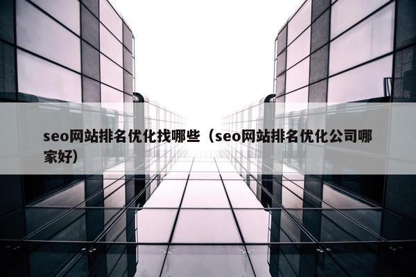 seo网站排名优化找哪些（seo网站排名优化公司哪家好）