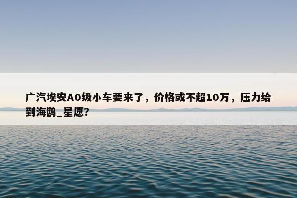 广汽埃安A0级小车要来了，价格或不超10万，压力给到海鸥_星愿？