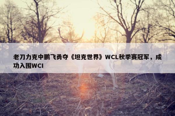 老刀力克中鹏飞勇夺《坦克世界》WCL秋季赛冠军，成功入围WCI