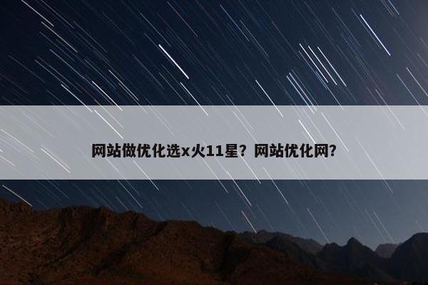 网站做优化选x火11星？网站优化网？