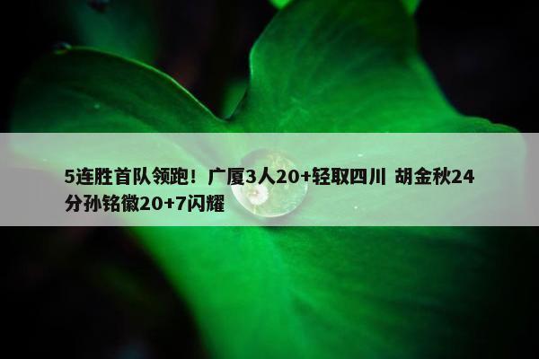 5连胜首队领跑！广厦3人20+轻取四川 胡金秋24分孙铭徽20+7闪耀