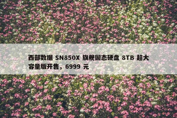 西部数据 SN850X 旗舰固态硬盘 8TB 超大容量版开售，6999 元