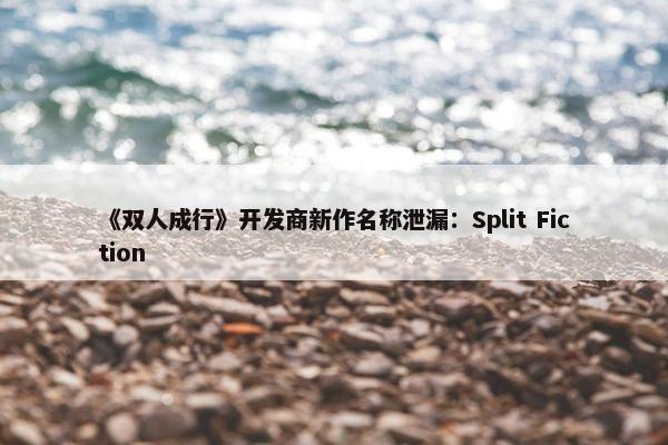 《双人成行》开发商新作名称泄漏：Split Fiction